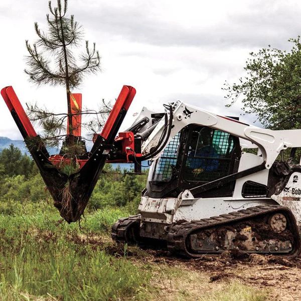 Forestry