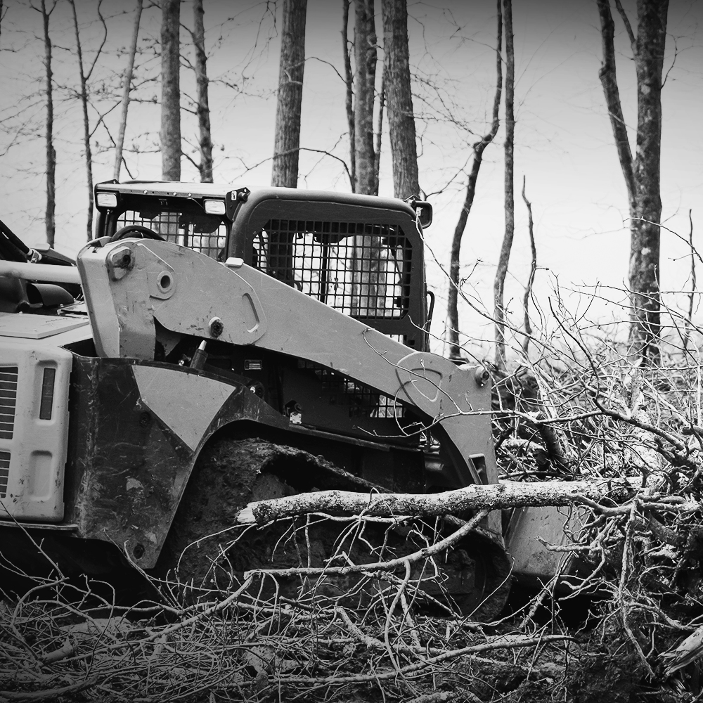Timber/Vegetation Management